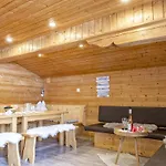Apartment Tiroler Bergtraum 1 Wildschoenau