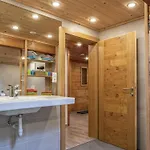 Tiroler Bergtraum 1 Apartment Wildschoenau