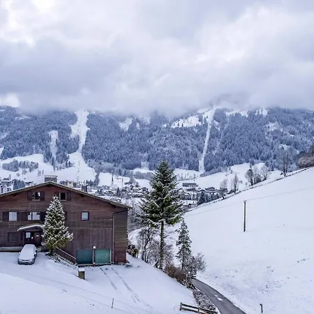 Apartment Tiroler Bergtraum 1 *