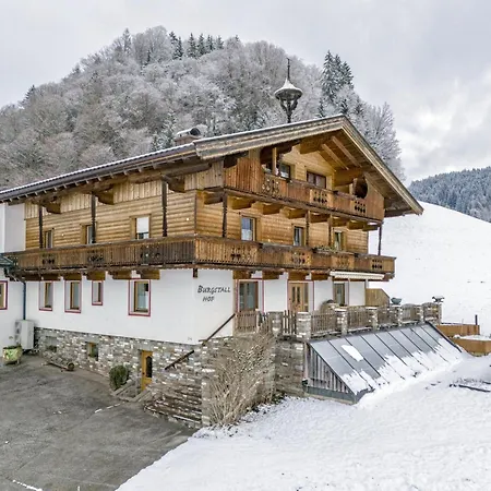 Tiroler Bergtraum 1 Apartment *