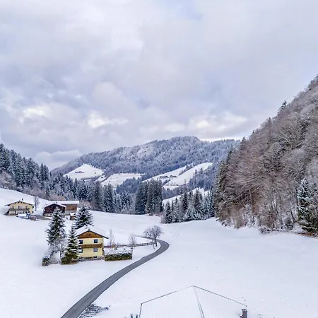 Tiroler Bergtraum 1 Daire