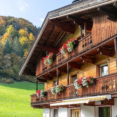 Tiroler Bergtraum 1 * Wildschoenau