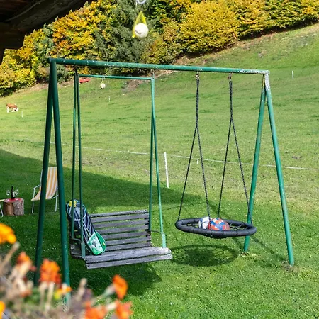 Tiroler Bergtraum 1 * Wildschoenau