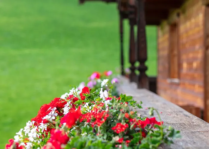 Tiroler Bergtraum 1 * فيلدشوناو