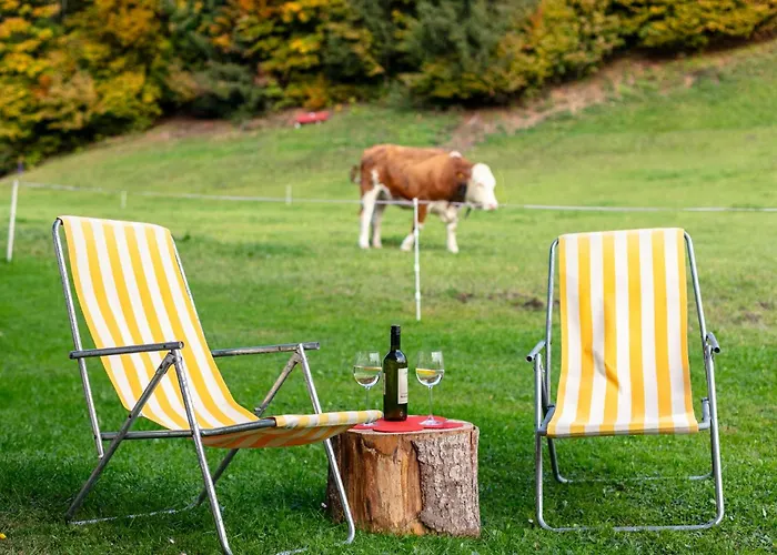 Tiroler Bergtraum 1 شقة