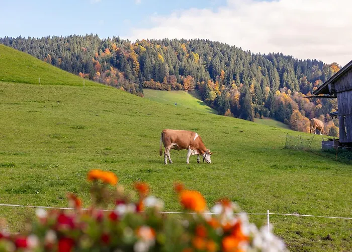 Tiroler Bergtraum 1 شقة