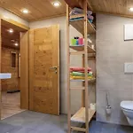 Tiroler Bergtraum 1 *