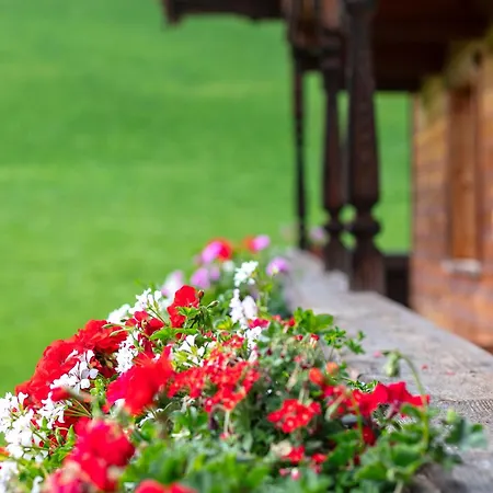 Tiroler Bergtraum 1 * Wildschoenau