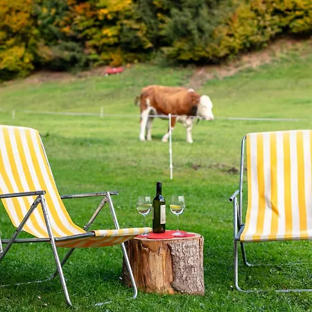 Tiroler Bergtraum 1 Apartmán