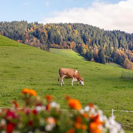 Tiroler Bergtraum 1 Apartmán